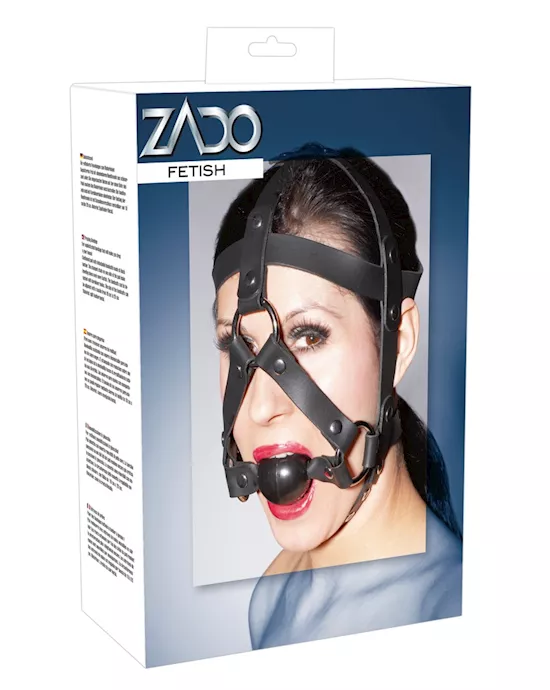 Leather Head Harness And Gag