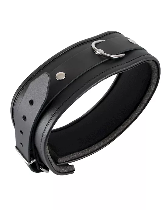 Leather Collar
