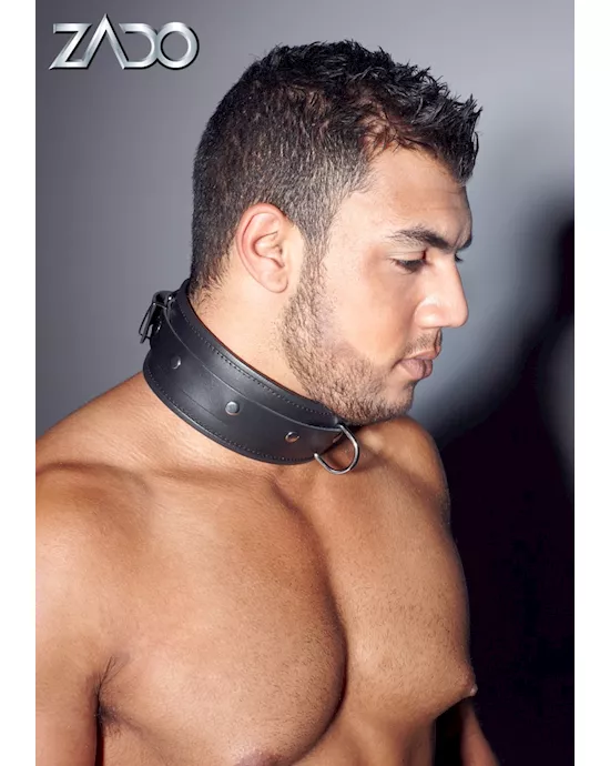 Leather Collar