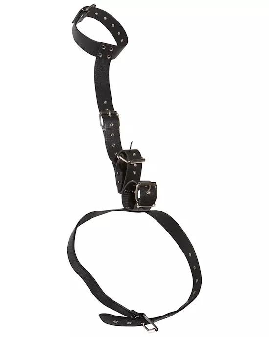 NeckandHandRestraints