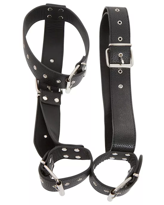Neck And Hand Restraints