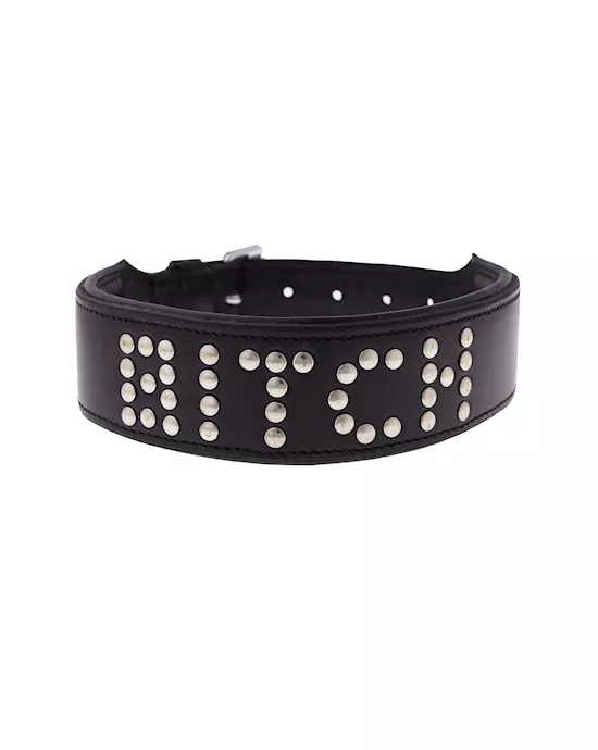 BoundXBitchStuddedCollar