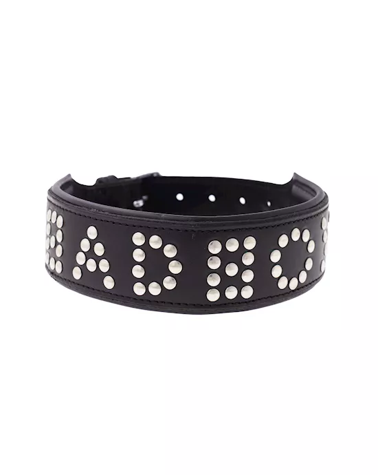 BoundXBadBoyStuddedCollar