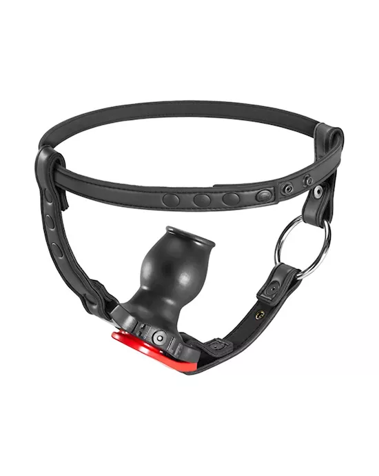 Hole Harness With Plug