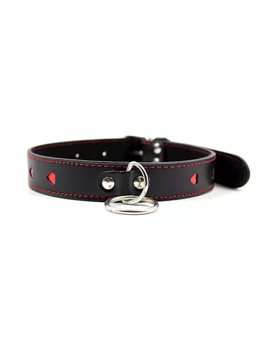 Full Control Collar And Leash