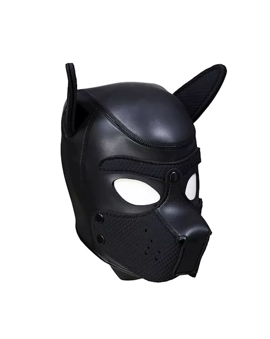 Mans Best Friend Puppy Hood