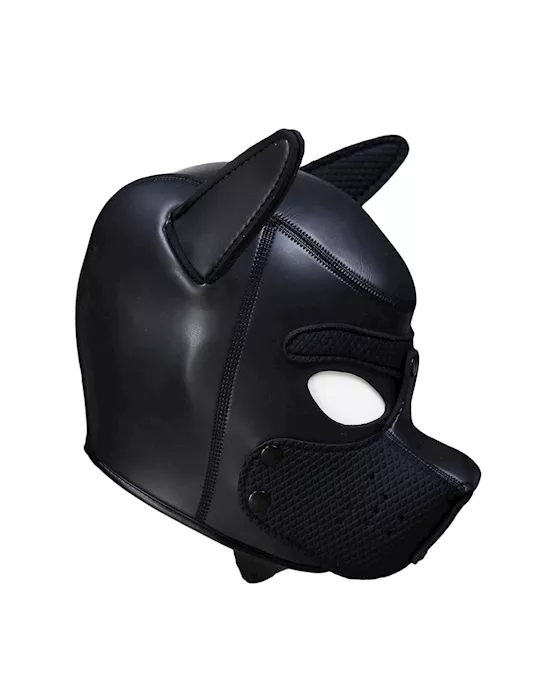 Mans Best Friend Puppy Hood