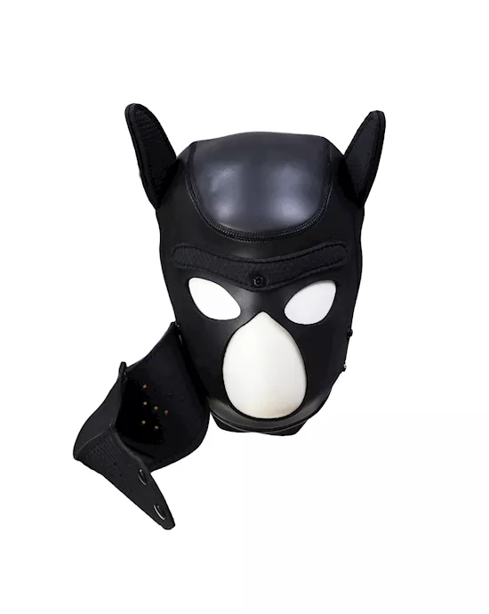 Mans Best Friend Puppy Hood