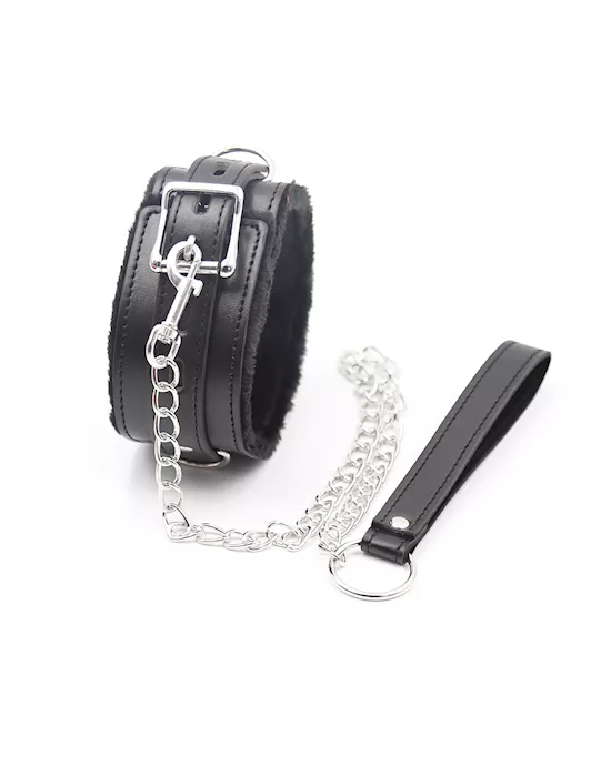 PremiumCollarwithLeash