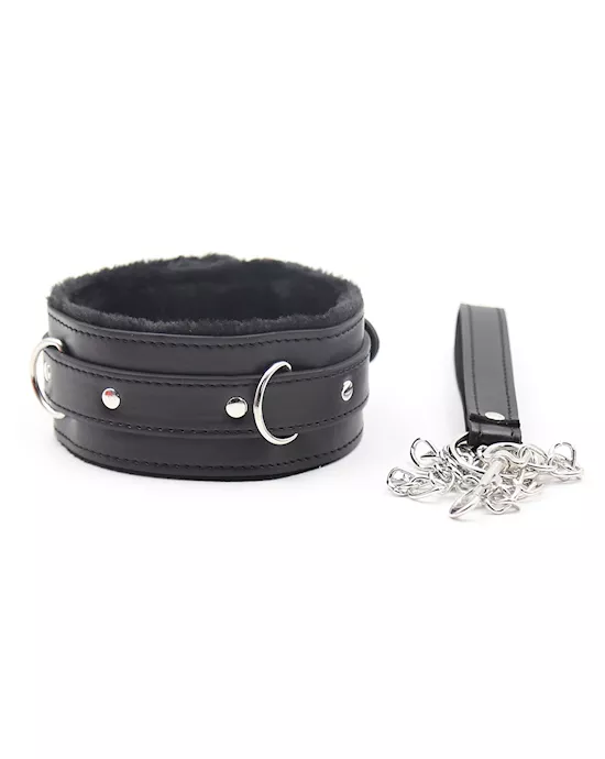 Premium Collar With Leash