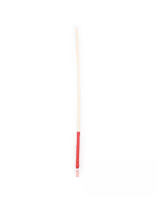 Thick Discipline Cane