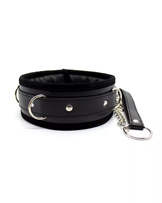 Soft Padded Collar And Leash