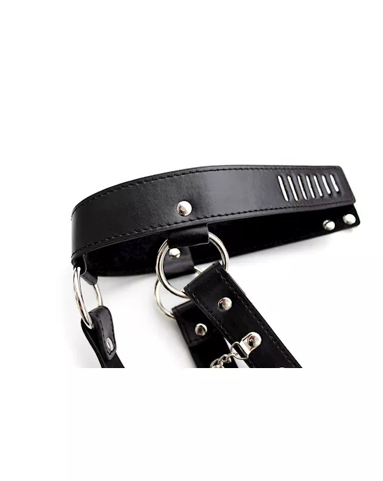 Hypnotic Harness