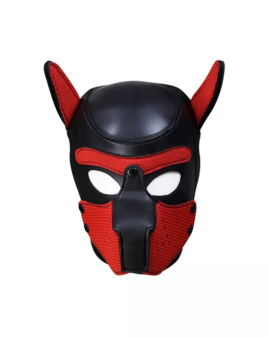 MansBestFriendPuppyHood