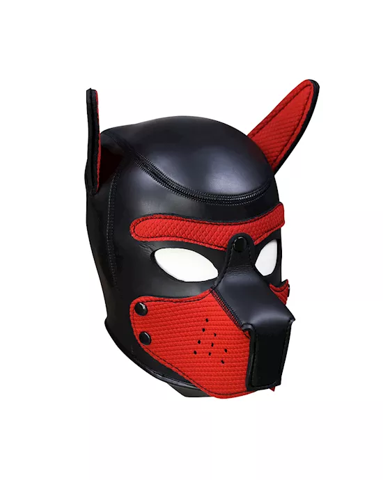 Mans Best Friend Puppy Hood