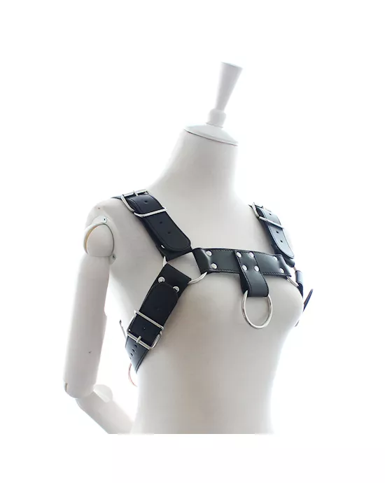 Chest Harness