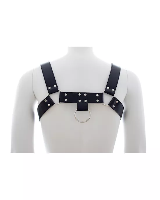 Chest Harness