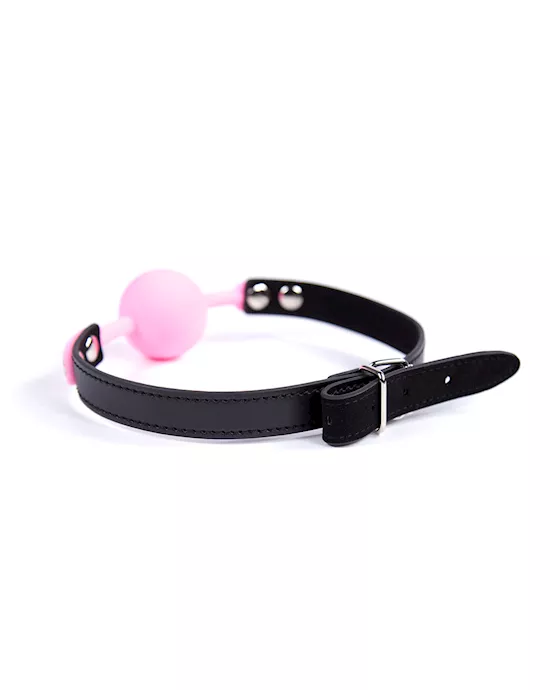 The Classic Ball Gag