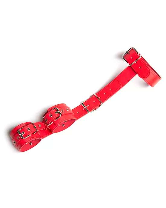 CollarWithWristRestraints