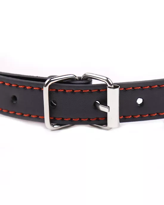 Dirty Dog Bone Bit Gag