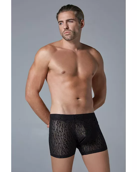 LucaLeopardBoxer