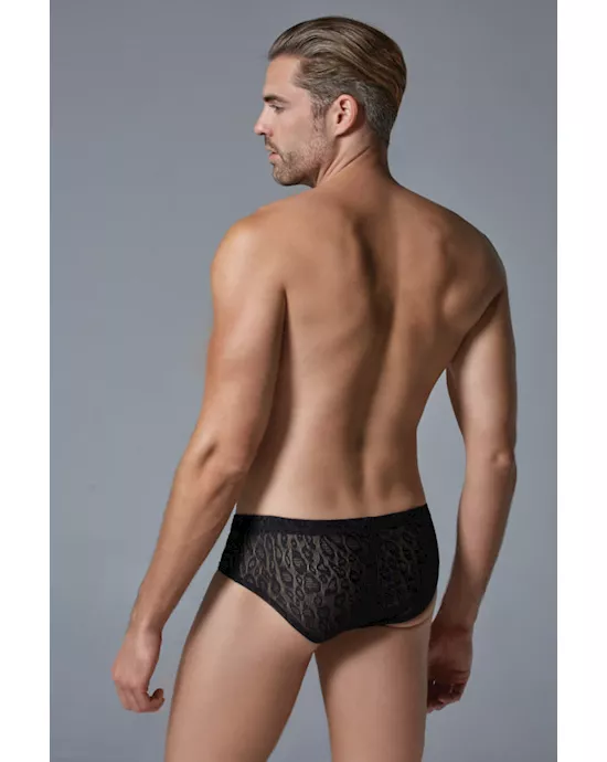 Luca Leopard Brief
