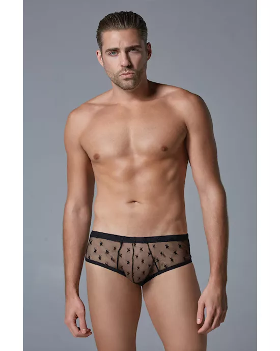 LucaStarBrief
