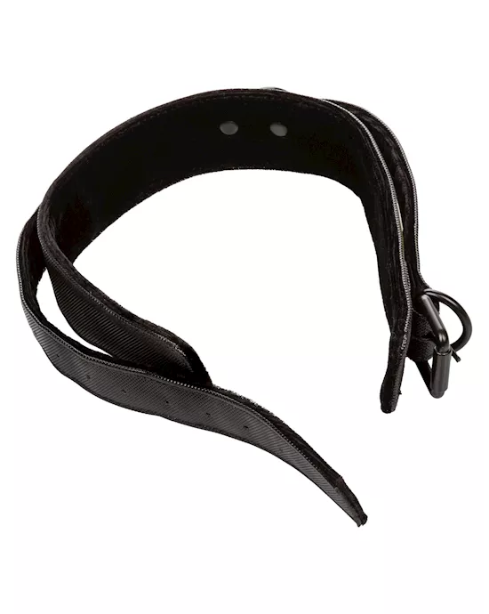 Boundless Collar And Leash