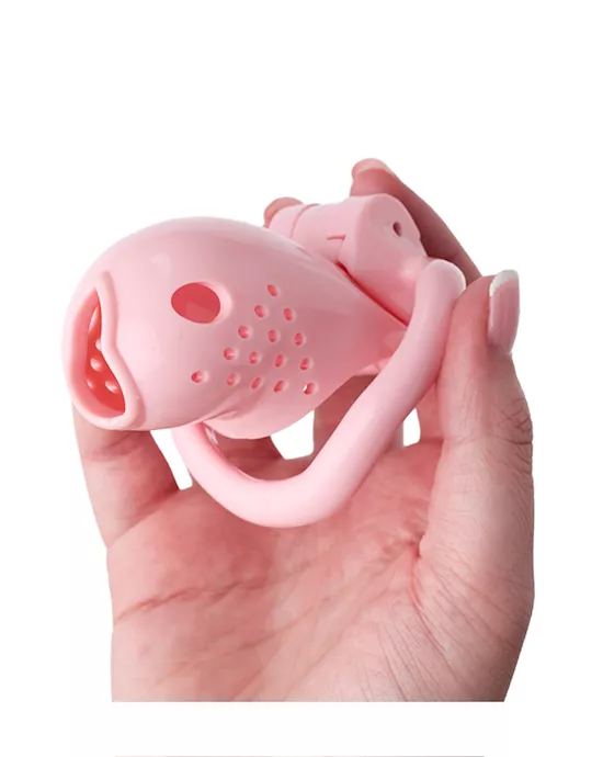 KinKiMaximumSecurityChastityCage