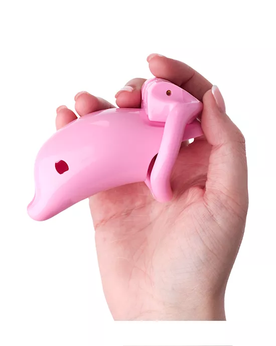 KinKiDolphinChastityCage