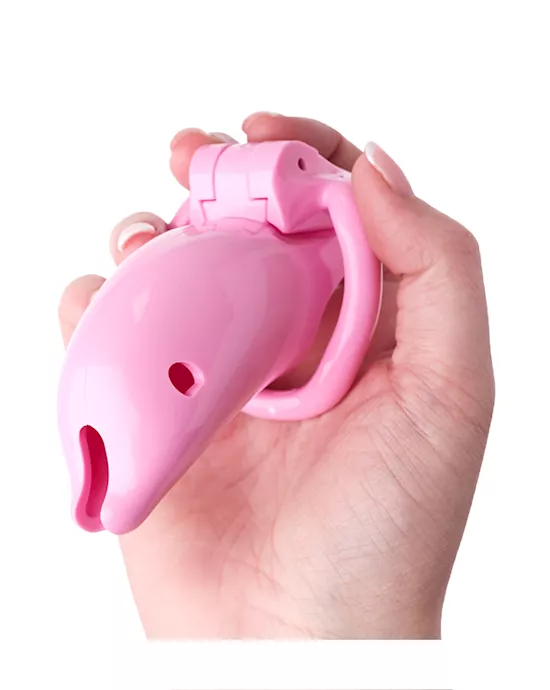 Kinki Dolphin Chastity Cage