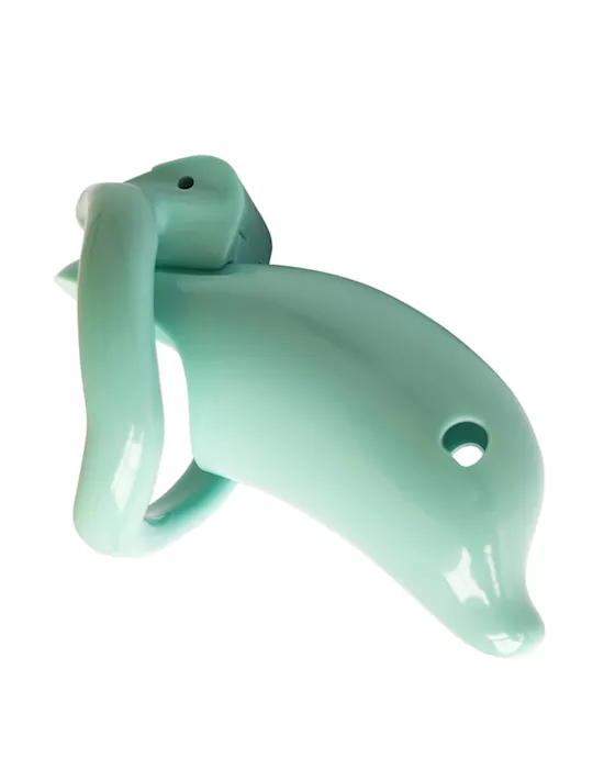 Kinki Dolphin Chastity Cage