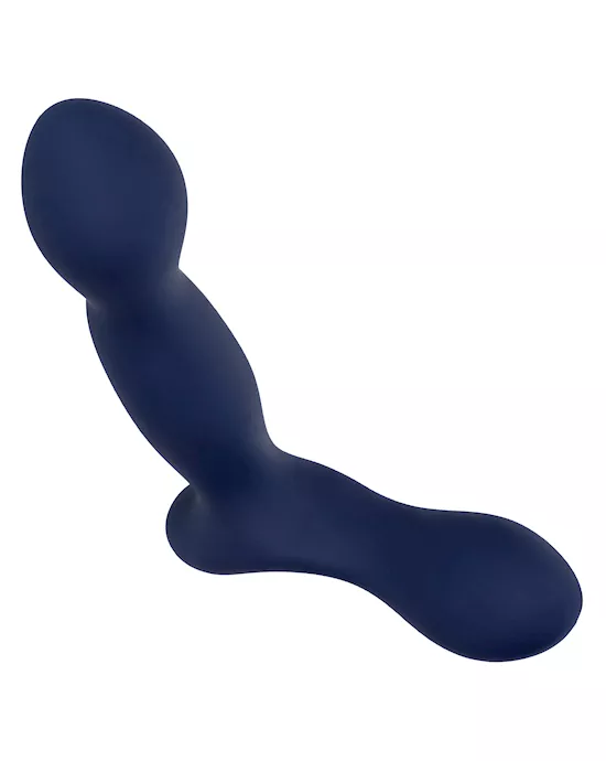 Viceroy Expert Probe