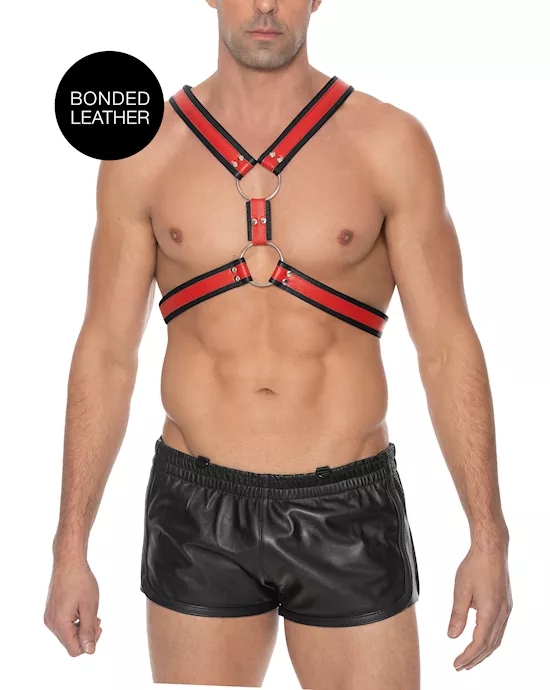 ZSeriesScottishHarness