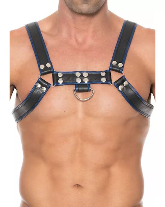 Chest Bulldog Harness