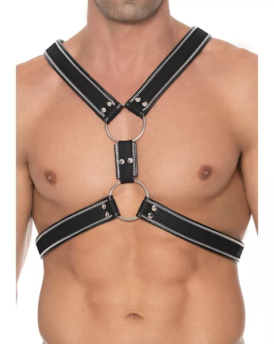 ZSeriesScottishHarness