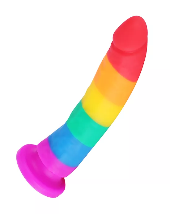 Nood Colours Rainbow Dildo