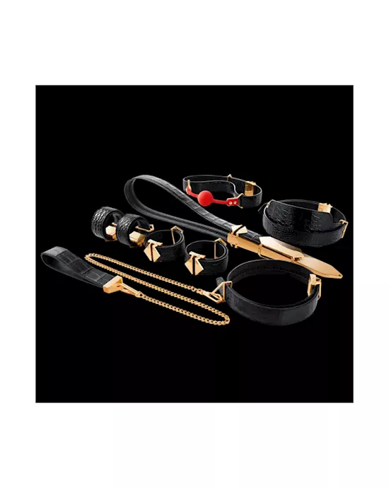 Lockink All-in-1 Bdsm Play Kit - Dark Alligator
