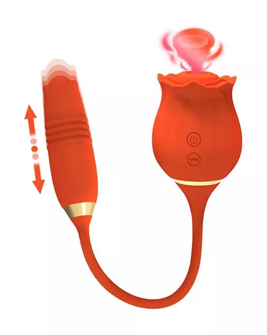 DualRoseVibrator