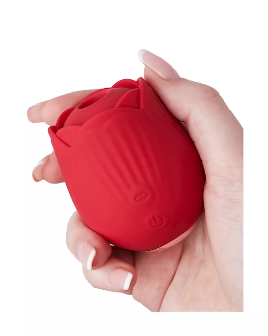 RoseSuctionVibrator
