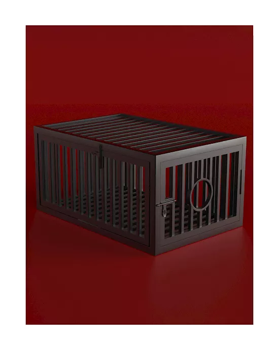 Prisonerscage-middle