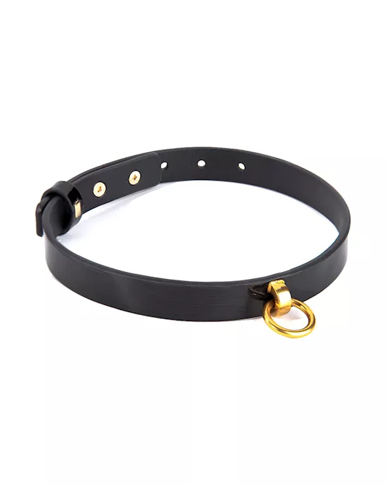 Lux Collar And Leash
