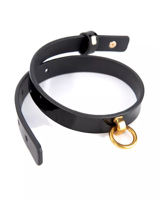 Lux Collar And Leash