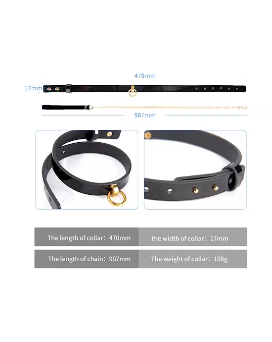 Lux Collar And Leash