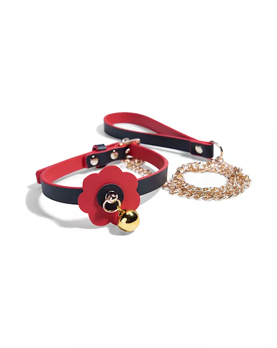 Frost Collar And Leash