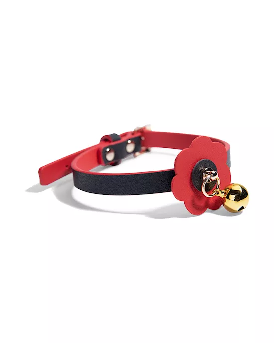 Frost Collar And Leash