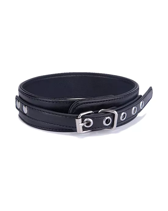 Delta Collar And Leash