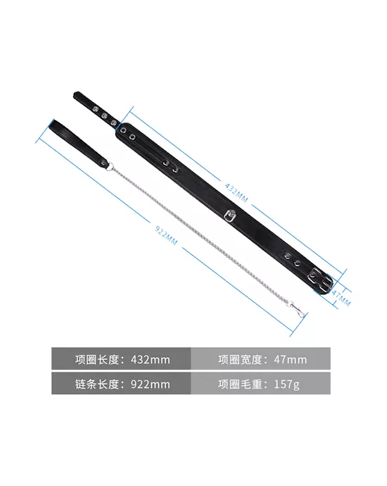 Delta Collar And Leash