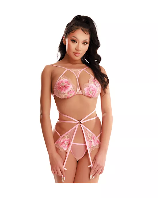PinkBraAndPantsGarterLingerieSet