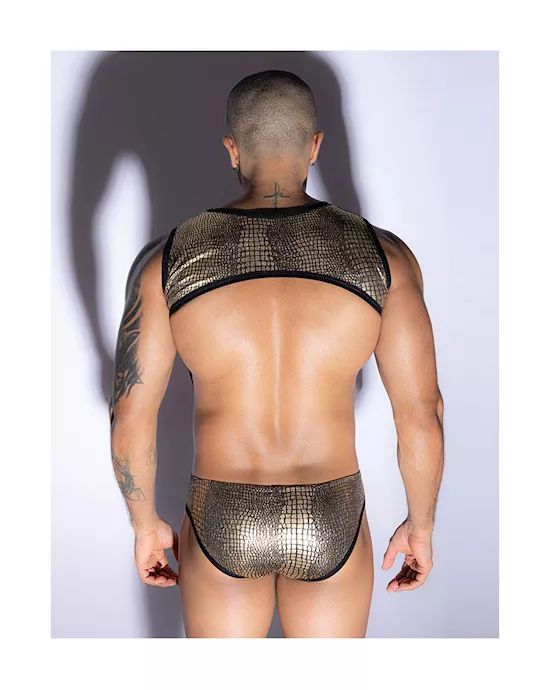 Golden Snake Top And Underwear Set